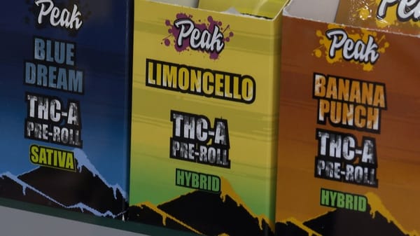 Texas Hemp Ban Wipes Out 20,000 Jobs While Big Alcohol Keeps Killing 140,000 Americans a Year